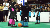 RoboCup 2010 Best Humanoid Winner: NimbRo TeenSize