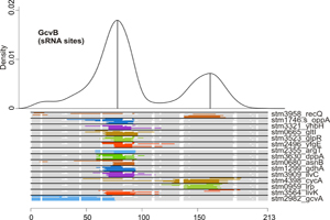 Learning from Relatives - New web tool simplifies prediction of regulatory networks in bacteria